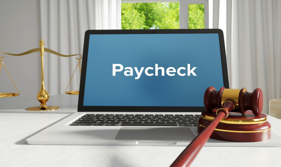 Paycheck Protection Program Loans: A First, Deep Dive 1 covid19 paycheck loans