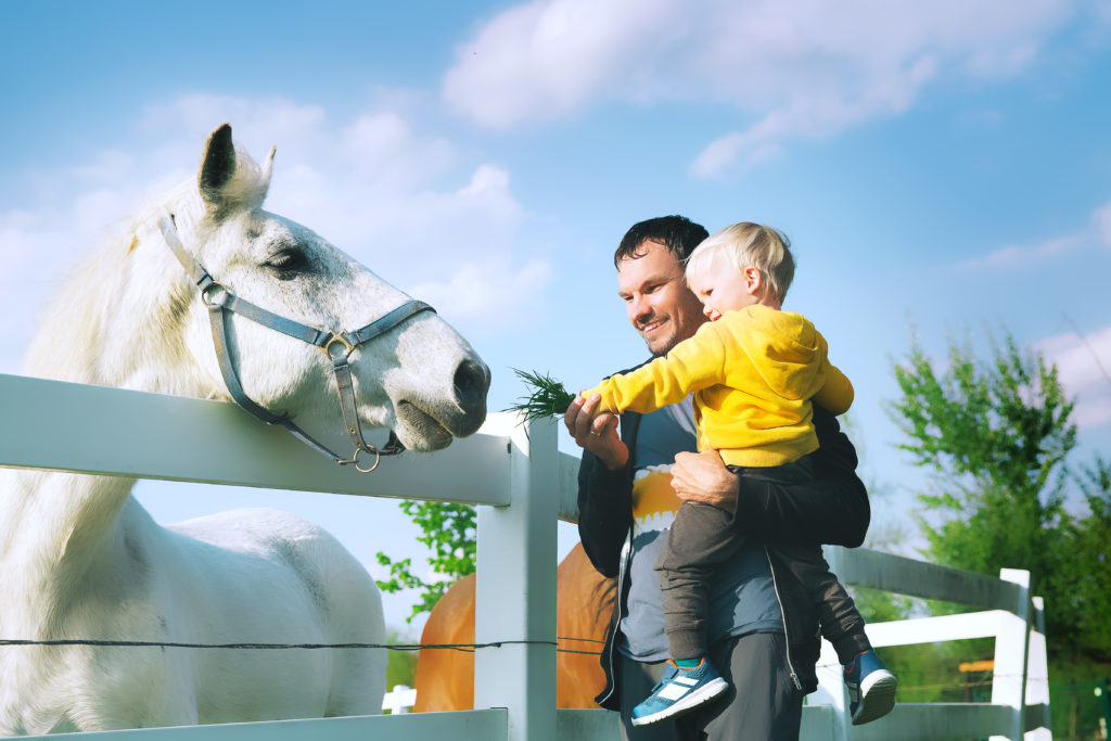 What Does the Ohio Equine Immunity Statute Mean? 1 Horse with dad and som pic